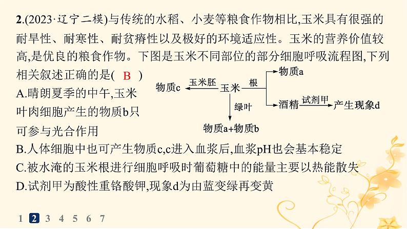 适用于新高考新教材2024版高考生物二轮复习热点专题练5种子与果实课件第4页