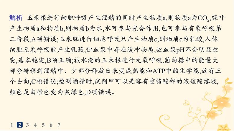 适用于新高考新教材2024版高考生物二轮复习热点专题练5种子与果实课件第5页