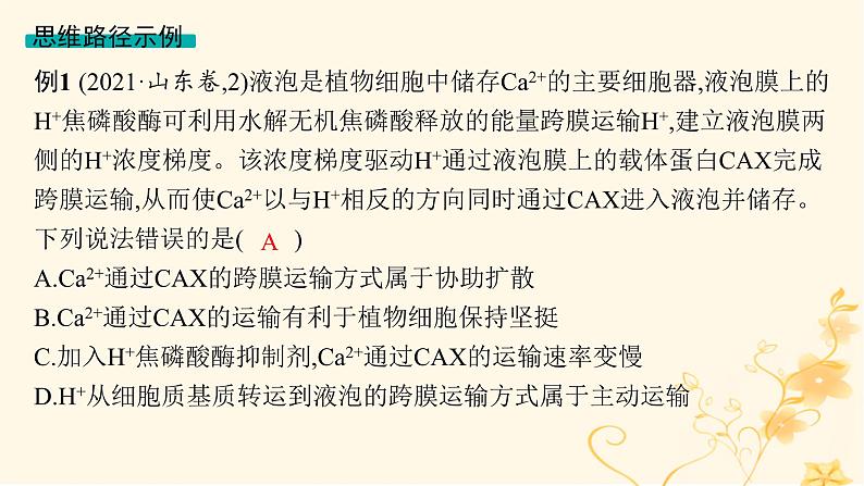 适用于新高考新教材2024版高考生物二轮复习生物学关键能力专项专项2模型建构课件07