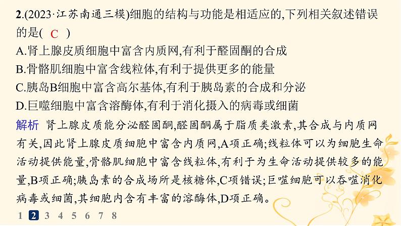 适用于新高考新教材2024版高考生物二轮复习知识对点小题练1细胞的分子组成与结构课件第3页