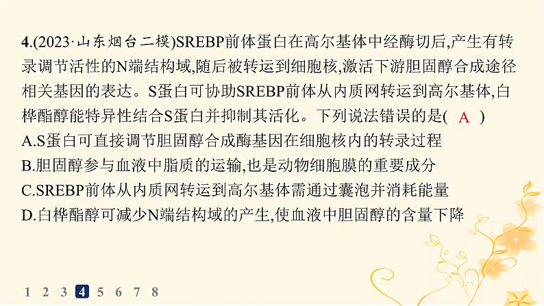 适用于新高考新教材2024版高考生物二轮复习知识对点小题练1细胞的分子组成与结构课件第6页