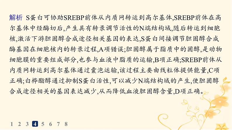 适用于新高考新教材2024版高考生物二轮复习知识对点小题练1细胞的分子组成与结构课件第7页