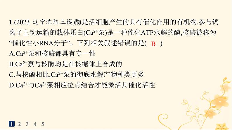 适用于新高考新教材2024版高考生物二轮复习知识对点小题练3酶与ATP课件第2页