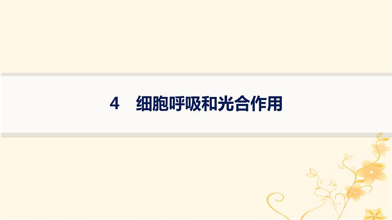 适用于新高考新教材2024版高考生物二轮复习知识对点小题练4细胞呼吸和光合作用课件第1页