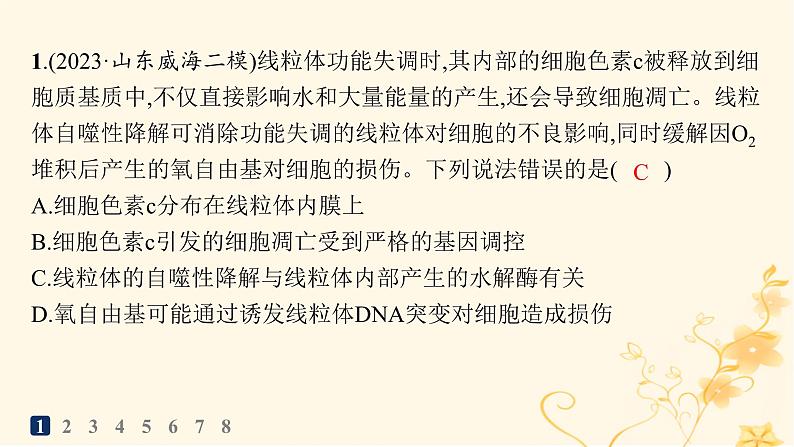 适用于新高考新教材2024版高考生物二轮复习知识对点小题练4细胞呼吸和光合作用课件第2页