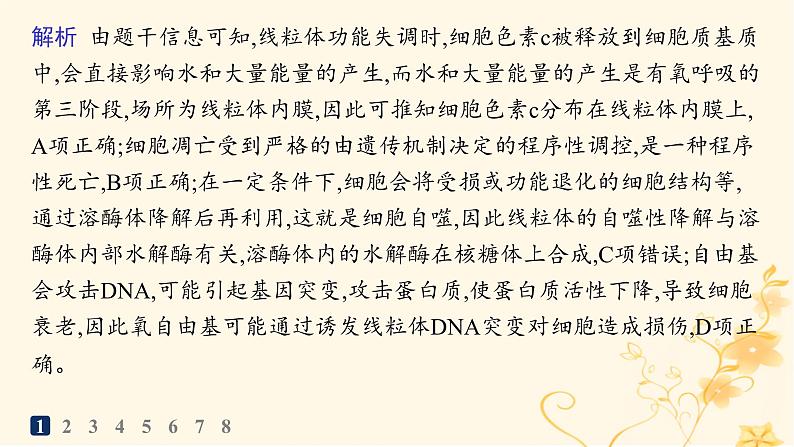 适用于新高考新教材2024版高考生物二轮复习知识对点小题练4细胞呼吸和光合作用课件第3页