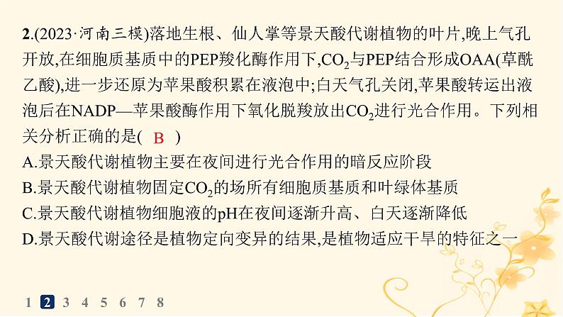 适用于新高考新教材2024版高考生物二轮复习知识对点小题练4细胞呼吸和光合作用课件第4页