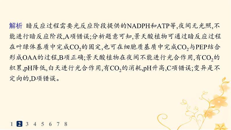 适用于新高考新教材2024版高考生物二轮复习知识对点小题练4细胞呼吸和光合作用课件第5页