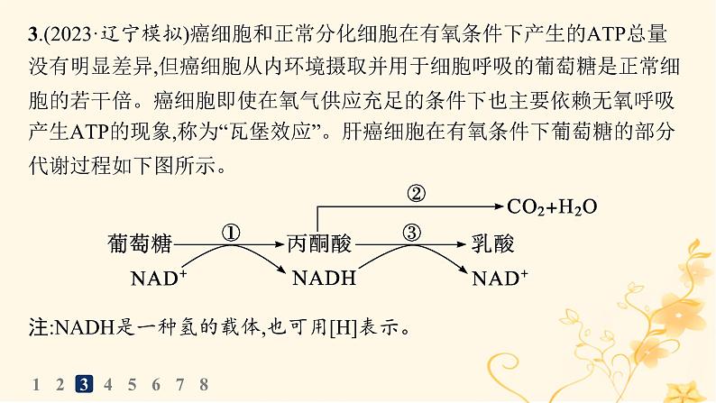 适用于新高考新教材2024版高考生物二轮复习知识对点小题练4细胞呼吸和光合作用课件第6页