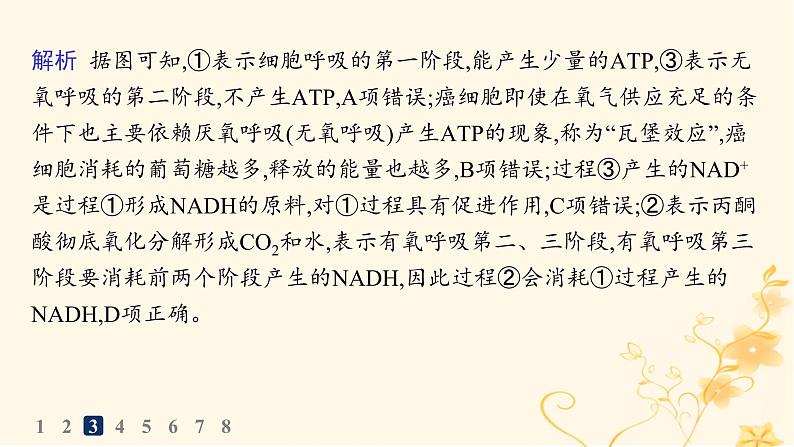 适用于新高考新教材2024版高考生物二轮复习知识对点小题练4细胞呼吸和光合作用课件第8页