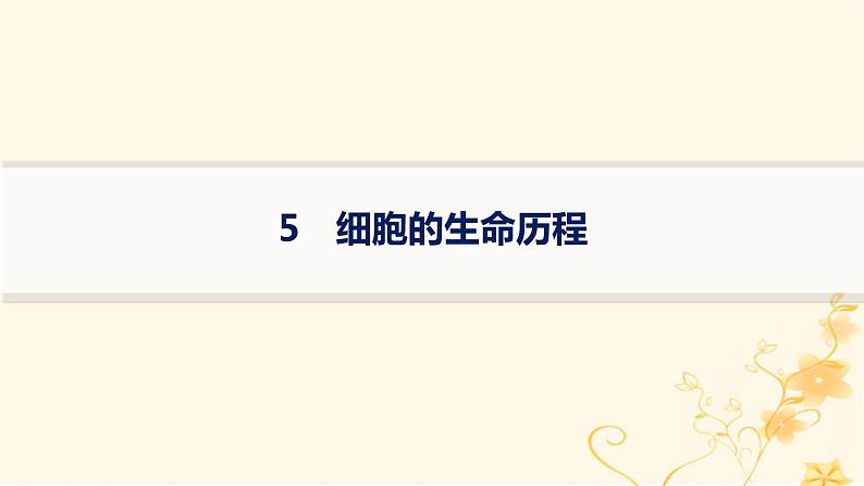 适用于新高考新教材2024版高考生物二轮复习知识对点小题练5细胞的生命历程课件第1页