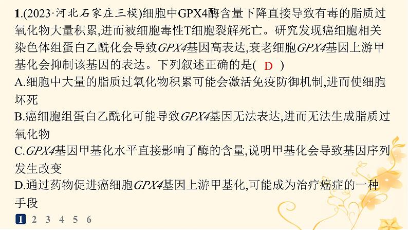 适用于新高考新教材2024版高考生物二轮复习知识对点小题练5细胞的生命历程课件第2页