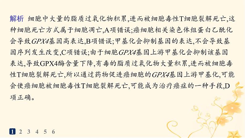 适用于新高考新教材2024版高考生物二轮复习知识对点小题练5细胞的生命历程课件第3页