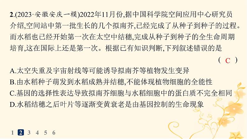 适用于新高考新教材2024版高考生物二轮复习知识对点小题练5细胞的生命历程课件第4页