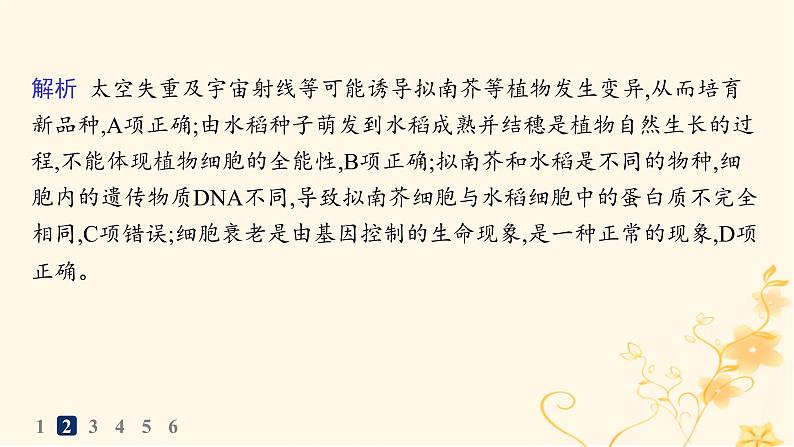 适用于新高考新教材2024版高考生物二轮复习知识对点小题练5细胞的生命历程课件第5页