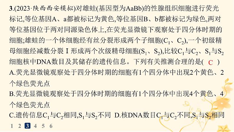 适用于新高考新教材2024版高考生物二轮复习知识对点小题练5细胞的生命历程课件第6页