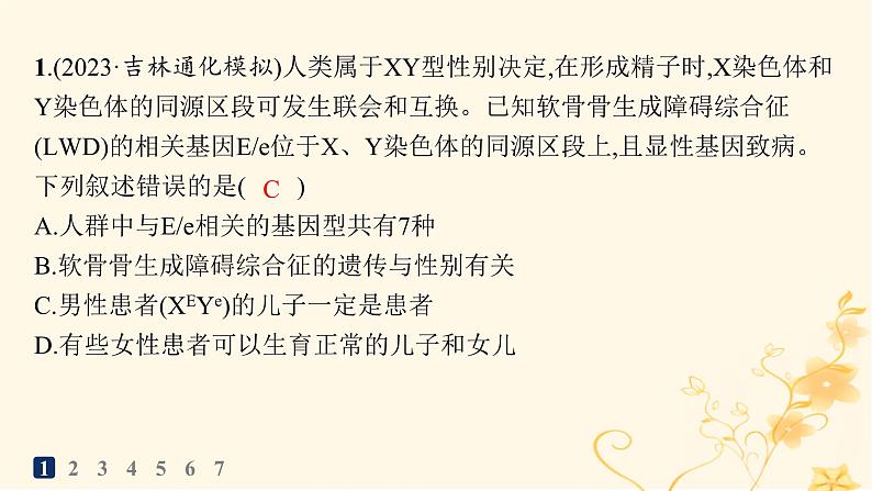 适用于新高考新教材2024版高考生物二轮复习知识对点小题练6遗传的基本规律与伴性遗传课件第2页