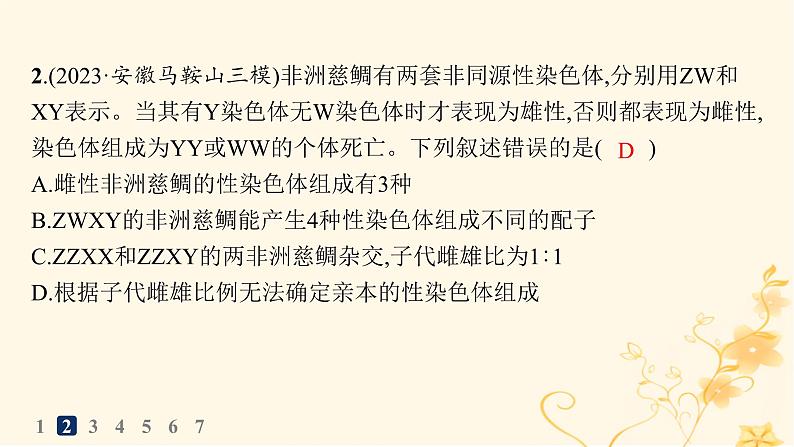 适用于新高考新教材2024版高考生物二轮复习知识对点小题练6遗传的基本规律与伴性遗传课件第4页