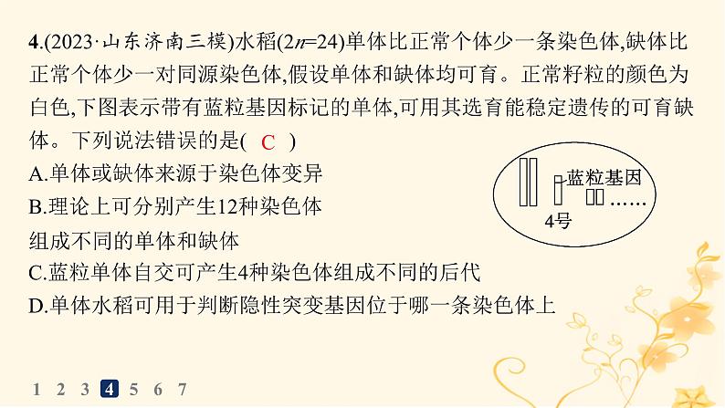 适用于新高考新教材2024版高考生物二轮复习知识对点小题练6遗传的基本规律与伴性遗传课件第8页