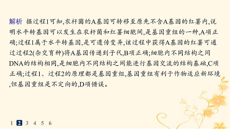 适用于新高考新教材2024版高考生物二轮复习知识对点小题练8生物的变异育种与进化课件第5页