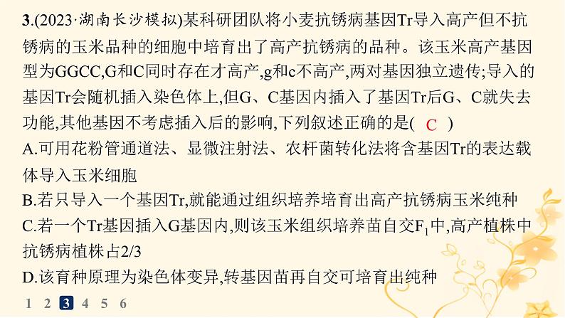 适用于新高考新教材2024版高考生物二轮复习知识对点小题练8生物的变异育种与进化课件第6页