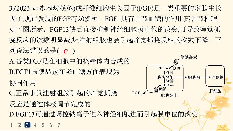 适用于新高考新教材2024版高考生物二轮复习知识对点小题练9动物生命活动的调节课件第6页