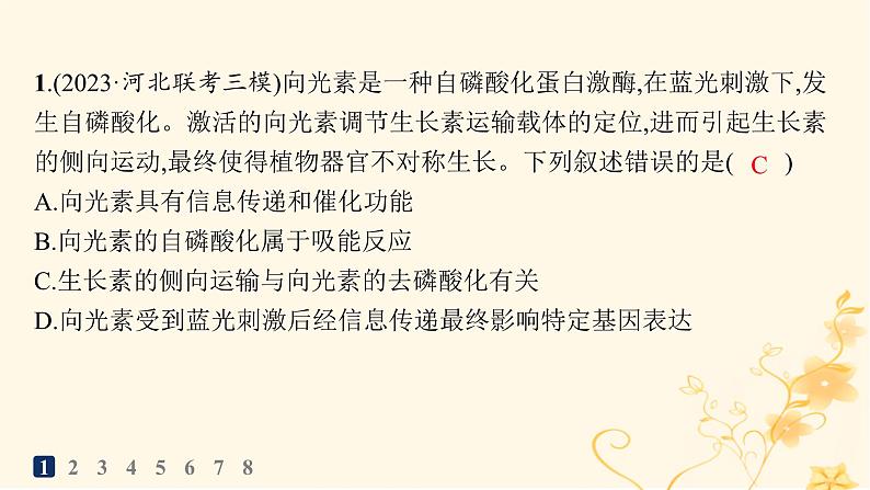 适用于新高考新教材2024版高考生物二轮复习知识对点小题练10植物生命活动的调节课件第2页