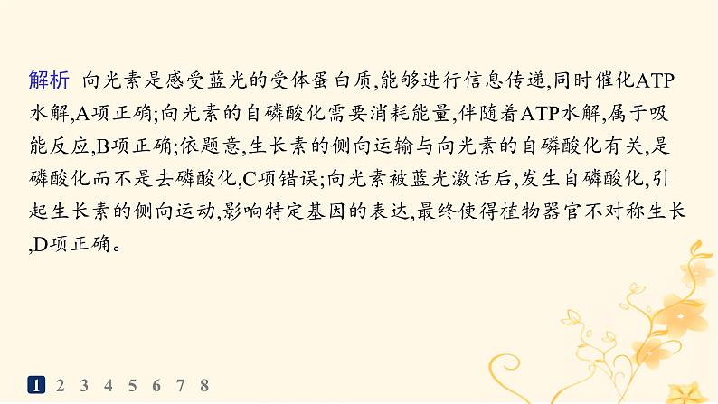 适用于新高考新教材2024版高考生物二轮复习知识对点小题练10植物生命活动的调节课件第3页