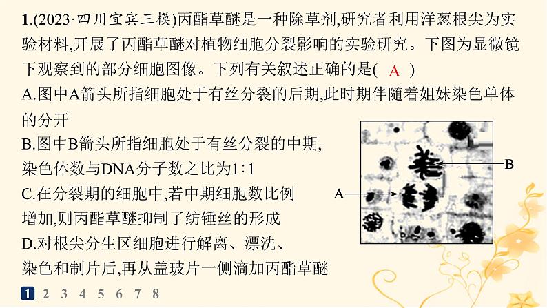 适用于新高考新教材2024版高考生物二轮复习知识对点小题练13教材基础实验课件第2页