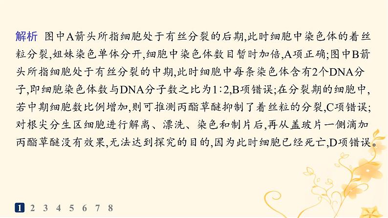 适用于新高考新教材2024版高考生物二轮复习知识对点小题练13教材基础实验课件第3页