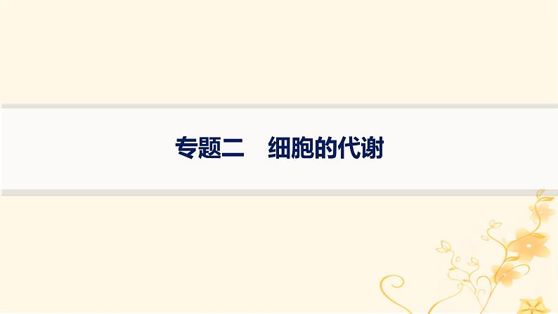 适用于新高考新教材2024版高考生物二轮复习专题2细胞的代谢课件01