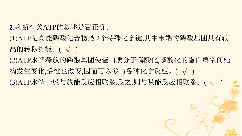 适用于新高考新教材2024版高考生物二轮复习专题2细胞的代谢课件08