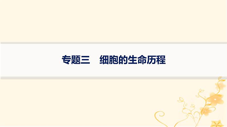 适用于新高考新教材2024版高考生物二轮复习专题3细胞的生命历程课件第1页