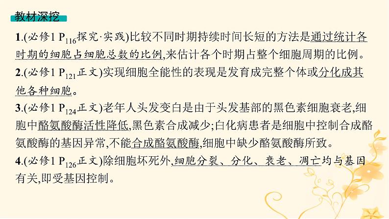 适用于新高考新教材2024版高考生物二轮复习专题3细胞的生命历程课件第5页