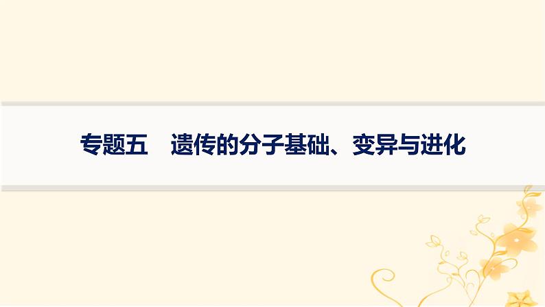 适用于新高考新教材2024版高考生物二轮复习专题5遗传的分子基础变异与进化课件01