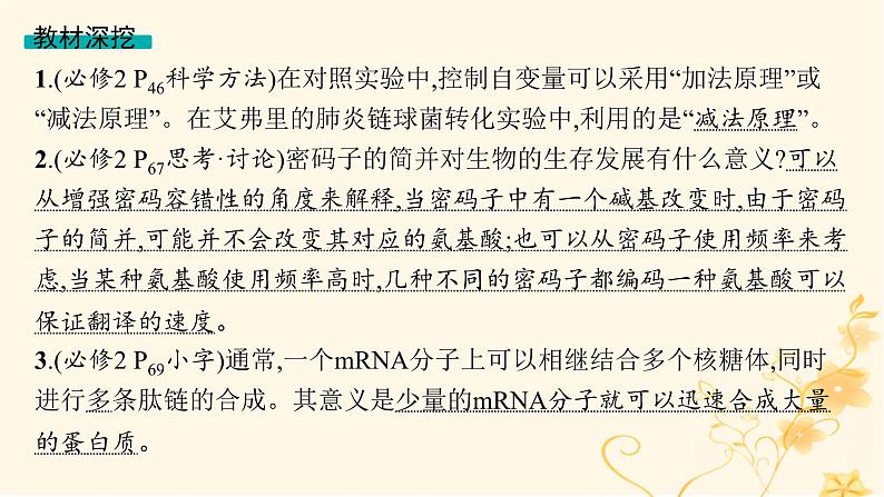 适用于新高考新教材2024版高考生物二轮复习专题5遗传的分子基础变异与进化课件05