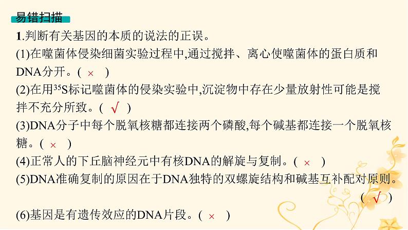 适用于新高考新教材2024版高考生物二轮复习专题5遗传的分子基础变异与进化课件07