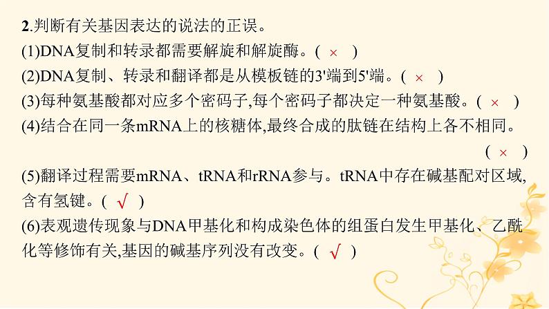 适用于新高考新教材2024版高考生物二轮复习专题5遗传的分子基础变异与进化课件08