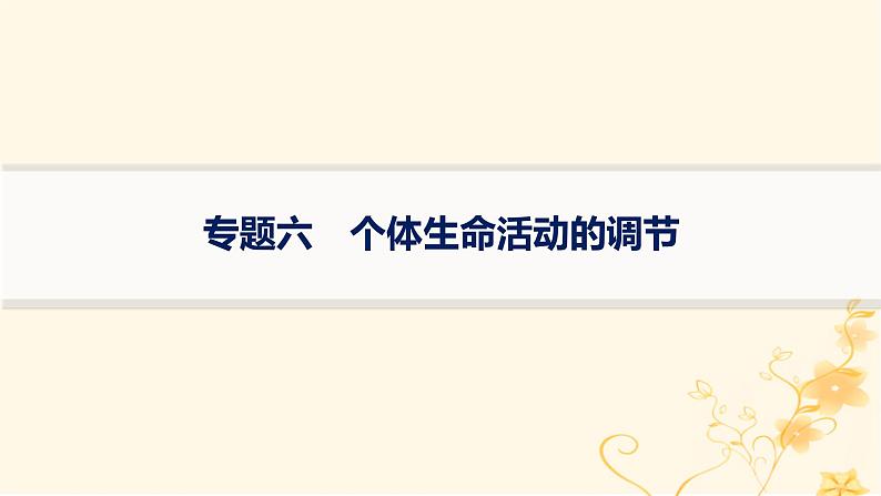 适用于新高考新教材2024版高考生物二轮复习专题6个体生命活动的调节课件第1页