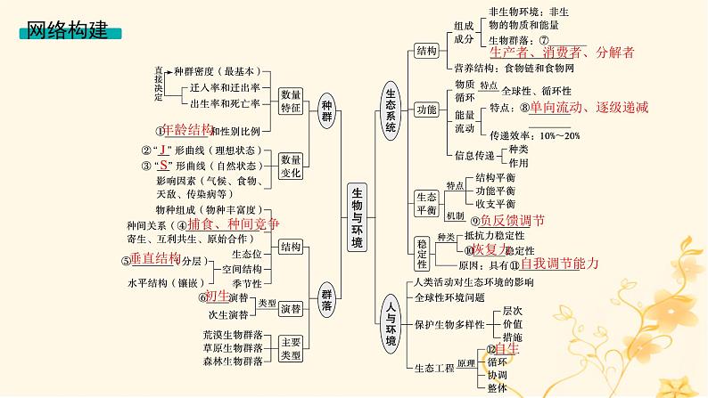 适用于新高考新教材2024版高考生物二轮复习专题7生物与环境课件03