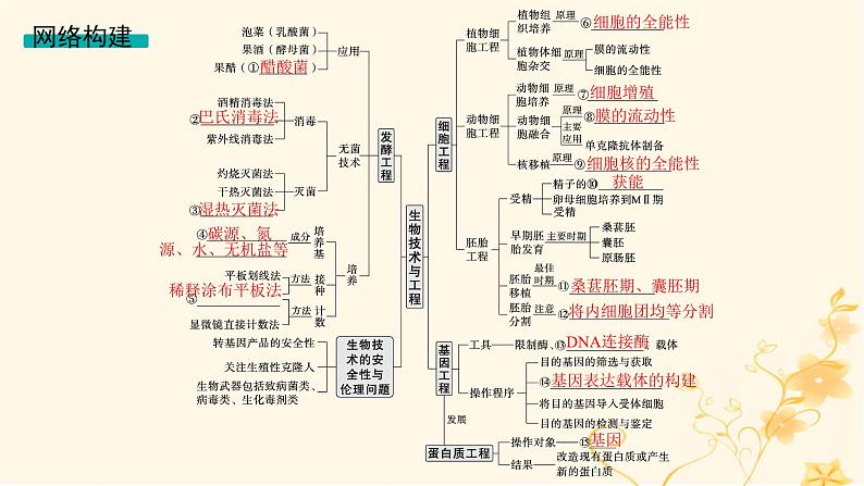 适用于新高考新教材2024版高考生物二轮复习专题8生物技术与工程课件第3页