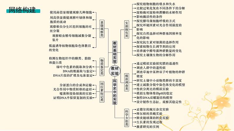 适用于新高考新教材2024版高考生物二轮复习专题9实验与探究课件第3页