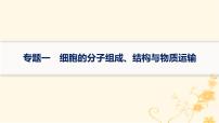 适用于新高考新教材2024版高考生物二轮复习专题突破练1细胞的分子组成结构与物质运输课件