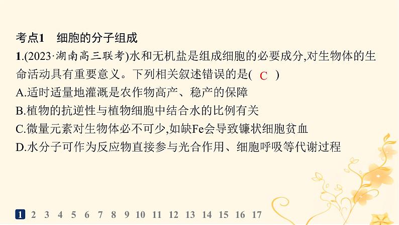 适用于新高考新教材2024版高考生物二轮复习专题突破练1细胞的分子组成结构与物质运输课件03