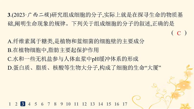 适用于新高考新教材2024版高考生物二轮复习专题突破练1细胞的分子组成结构与物质运输课件07