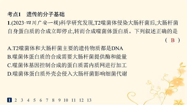 适用于新高考新教材2024版高考生物二轮复习专题突破练5遗传的分子基础变异与进化课件第3页