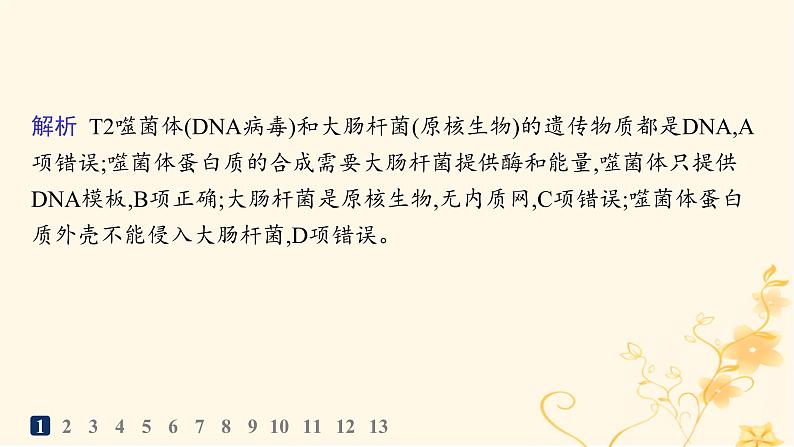 适用于新高考新教材2024版高考生物二轮复习专题突破练5遗传的分子基础变异与进化课件第4页