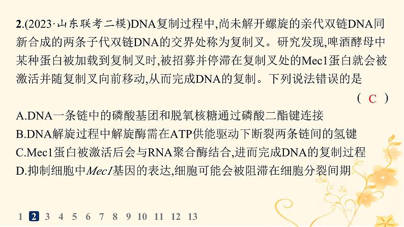 适用于新高考新教材2024版高考生物二轮复习专题突破练5遗传的分子基础变异与进化课件第5页