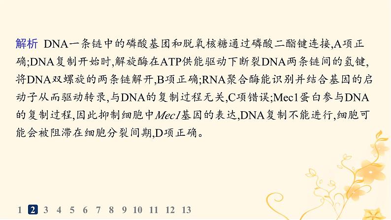 适用于新高考新教材2024版高考生物二轮复习专题突破练5遗传的分子基础变异与进化课件第6页