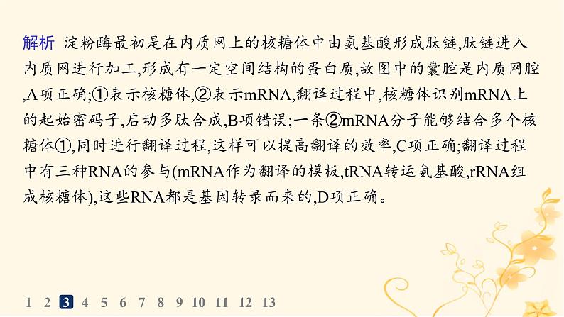 适用于新高考新教材2024版高考生物二轮复习专题突破练5遗传的分子基础变异与进化课件第8页